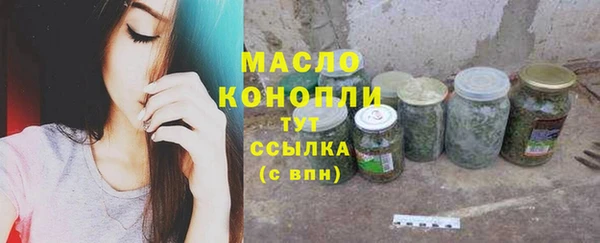 индика Пролетарск