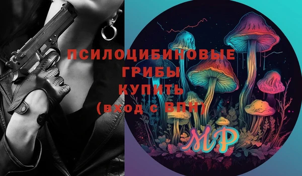 индика Пролетарск