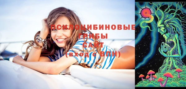 не бодяженный Протвино