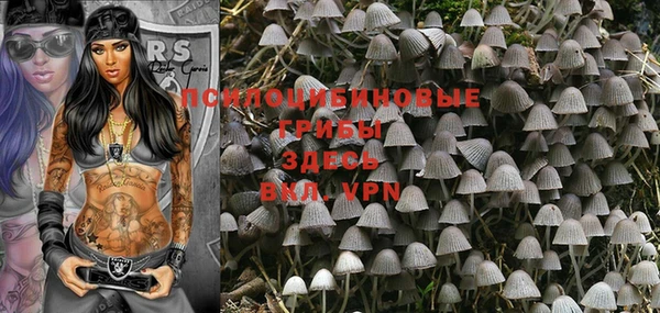 не бодяженный Протвино