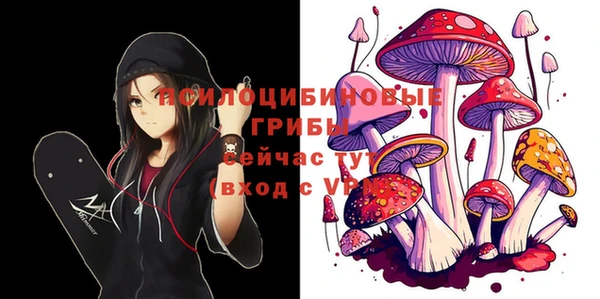 соль курить ск Приозерск