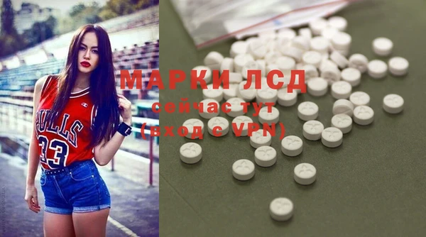 индика Пролетарск