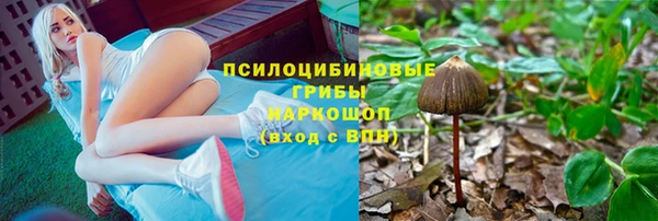 индика Пролетарск