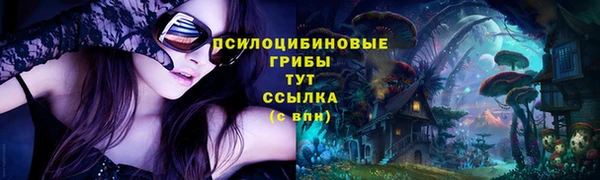 не бодяженный Протвино