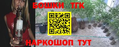 индика Апшеронск