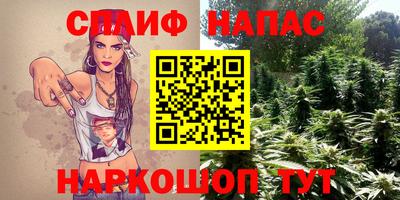 индика Апшеронск