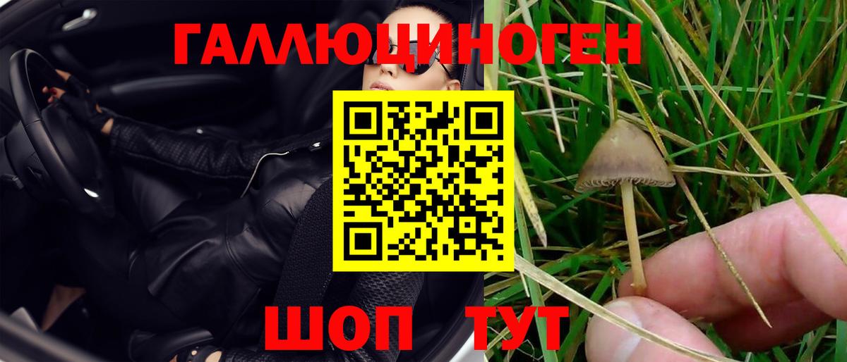 Белебей  Галлюциногенные грибы MAGIC MUSHROOMS  Вход с VPN 